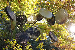Tribal Spirit Hand Drums
