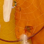 Dreamcatchers